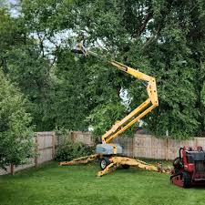 Reliable Brookings, OR Tree Services Solutions